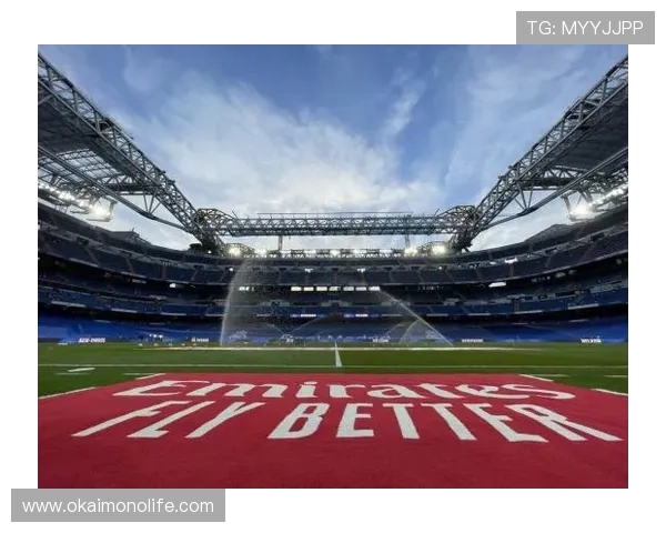 掌握开云体育下载入口的技巧：快速享受体育赛事直播